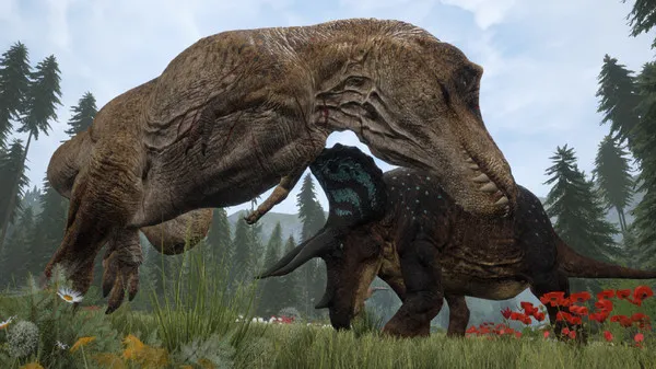 ��������������