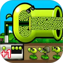 ����ֲ��ս��