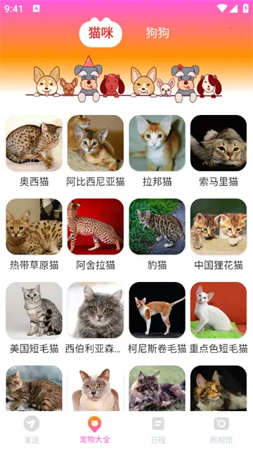 ���ܻ������ְ�׿���ֻ���