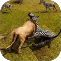 ��Ұ����ģ��2026���°汾