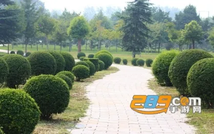 ����԰�������ֻ���