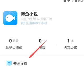 ����С˵����