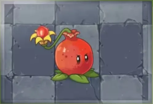 ֲ���ս��ʬ��ʼ����