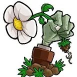 ֲ���ս��ʬ��׿���ֻ���