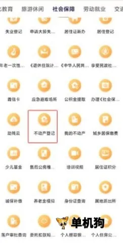 ����������ƹٷ��������