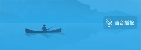 ������(����Ԥ������)