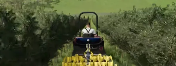 ģ��ũ��23���೵��ģ��