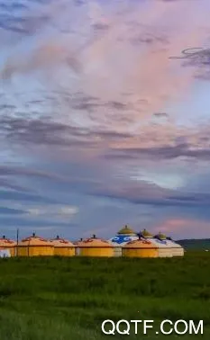 �ɺ�����ͨ2026���°汾