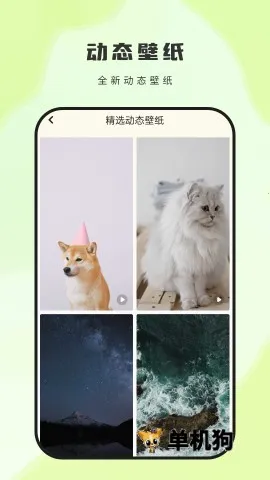 ��ͼ��ֽ(�ֻ���ֽ����)