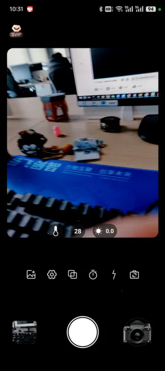 Dazz Chic(���Ž�Ƭ���)