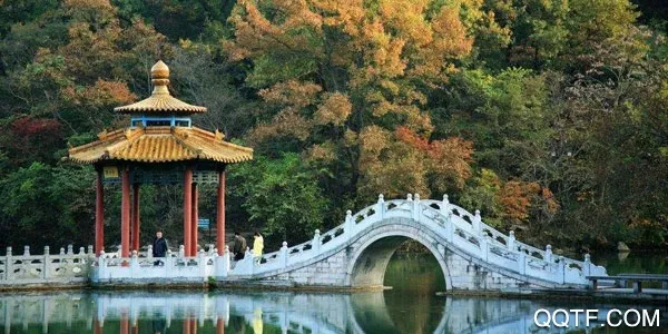 E���������ֻ���