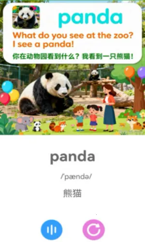 ������(Ӣ��ѧϰ����)