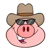 �˽������ⰲ׿���ֻ���