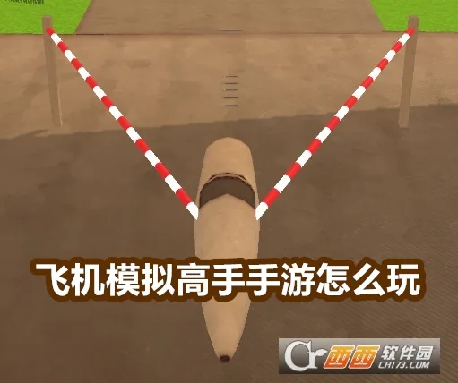 飞机模拟高手无限金币下载 飞机模拟高手无限金币下载