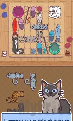 ���׶�(è�������Ϸ)