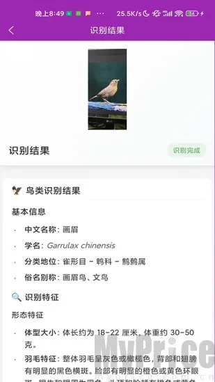 识鸟安卓版手机版 识鸟安卓版手机版