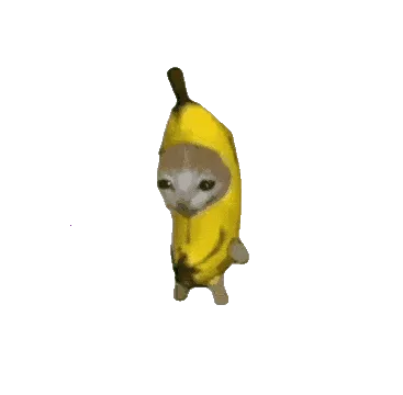 �ȱ�����2026�ٷ�����