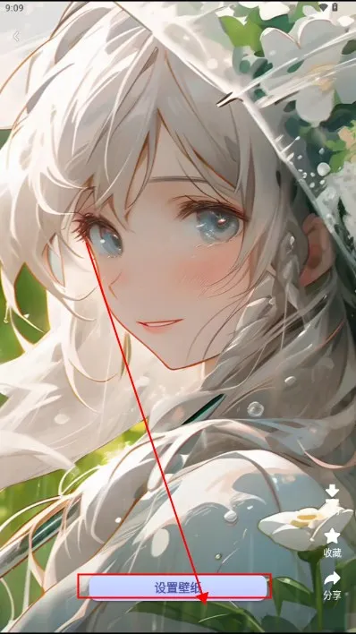 ����è(�ֻ���������)