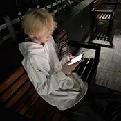 ����������Ȩ����2026���°汾