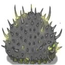 ���Ů�������������