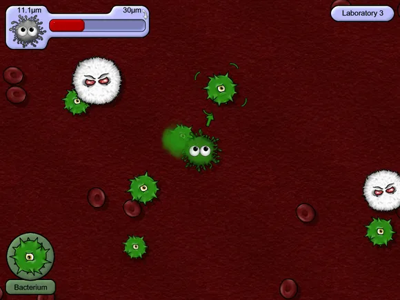 ��ζ����5�ƽ��