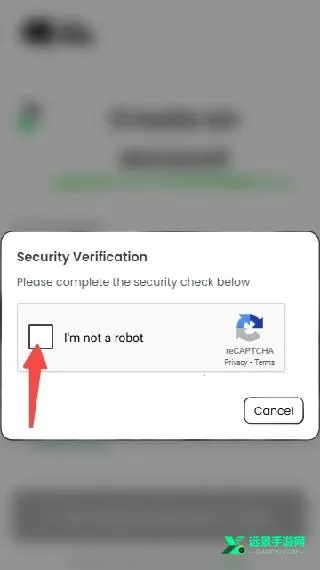 anuneko�׹���AI2026�ٷ�����