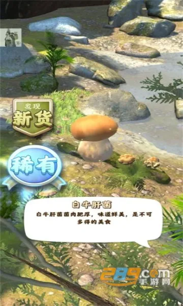 �����������˼����