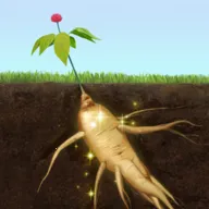 ��������ƽ��������ʯ���޽��