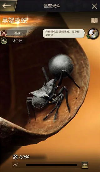 The Ants2026下载安装 The Ants2026下载安装