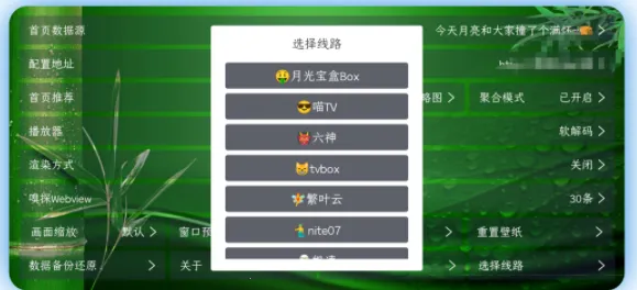 懒猫TV最新手机版 懒猫TV最新手机版