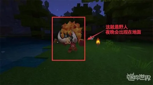 ��������2026���°汾