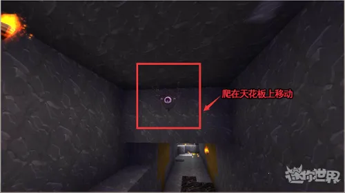 ��������2026���°汾