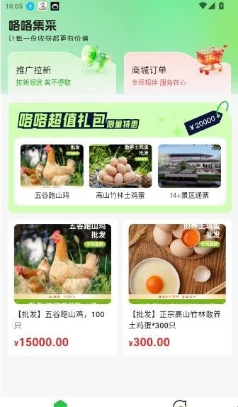 ��������2026�ٷ�����