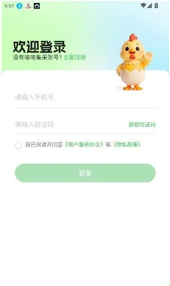 ��������2026�ٷ�����