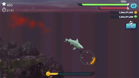 ���������(������������)