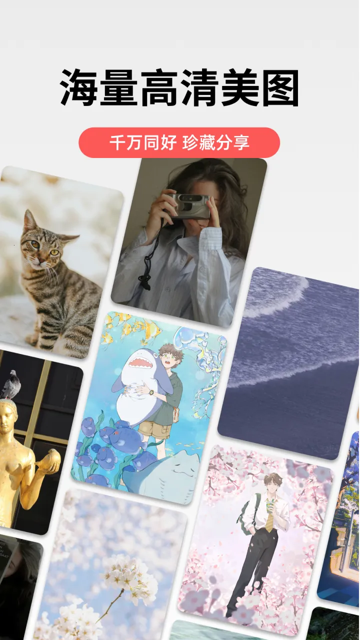 堆糖(美图分享社区) 堆糖(美图分享社区)