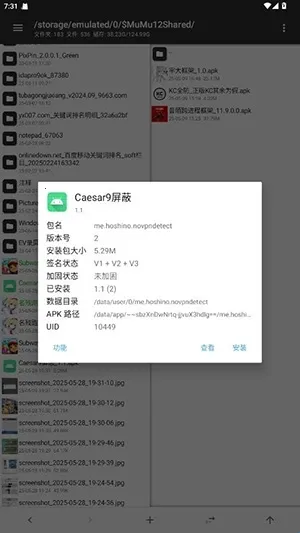 Caesar9����(��Ϸ��������)