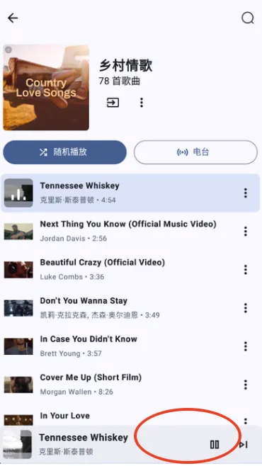 Metrolist(���ֲ�������)