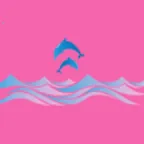 �涯���(��Ƭ��������)