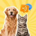 è�����﷭����2026�ٷ����°汾v1.0.2 �ٷ�����