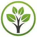 ������(������������)