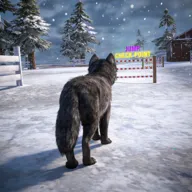 ��ģ���� 3D(������ģ����Ϸ)