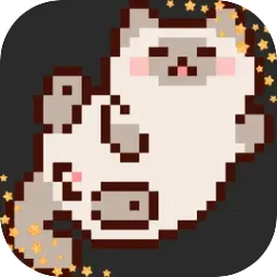 �����ٵ�����è���2026�ٷ�����