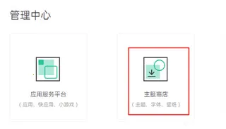 Theme Store(������������)