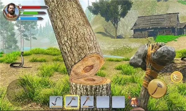 ������Ŷ�(��Ұ������Ϸ)