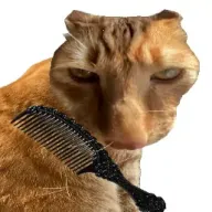 ��è��ë2026���ذ�װv1.0 �ٷ�����