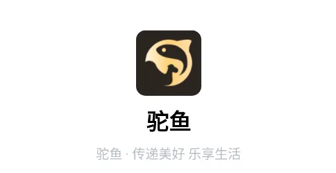 ����2026���°汾