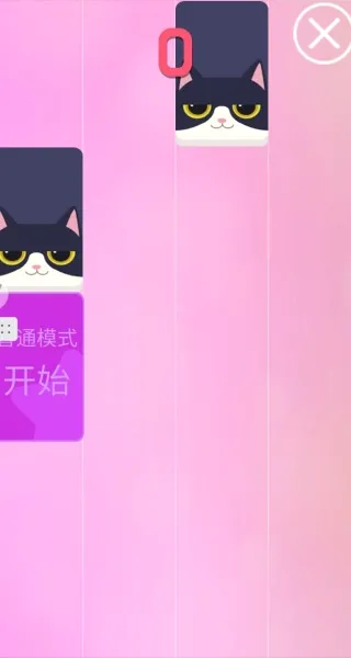 猫咪与球2026最新版本 猫咪与球2026最新版本