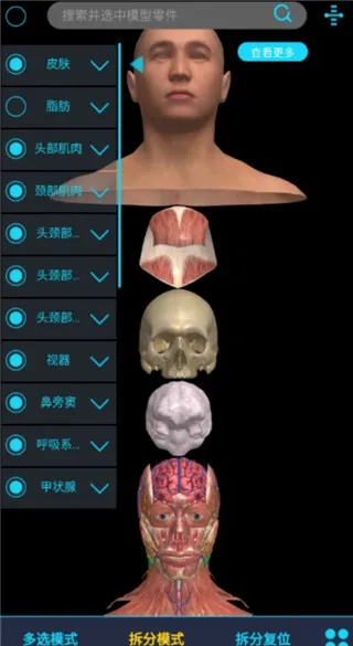 ҽά�Ƚ���(�����������)