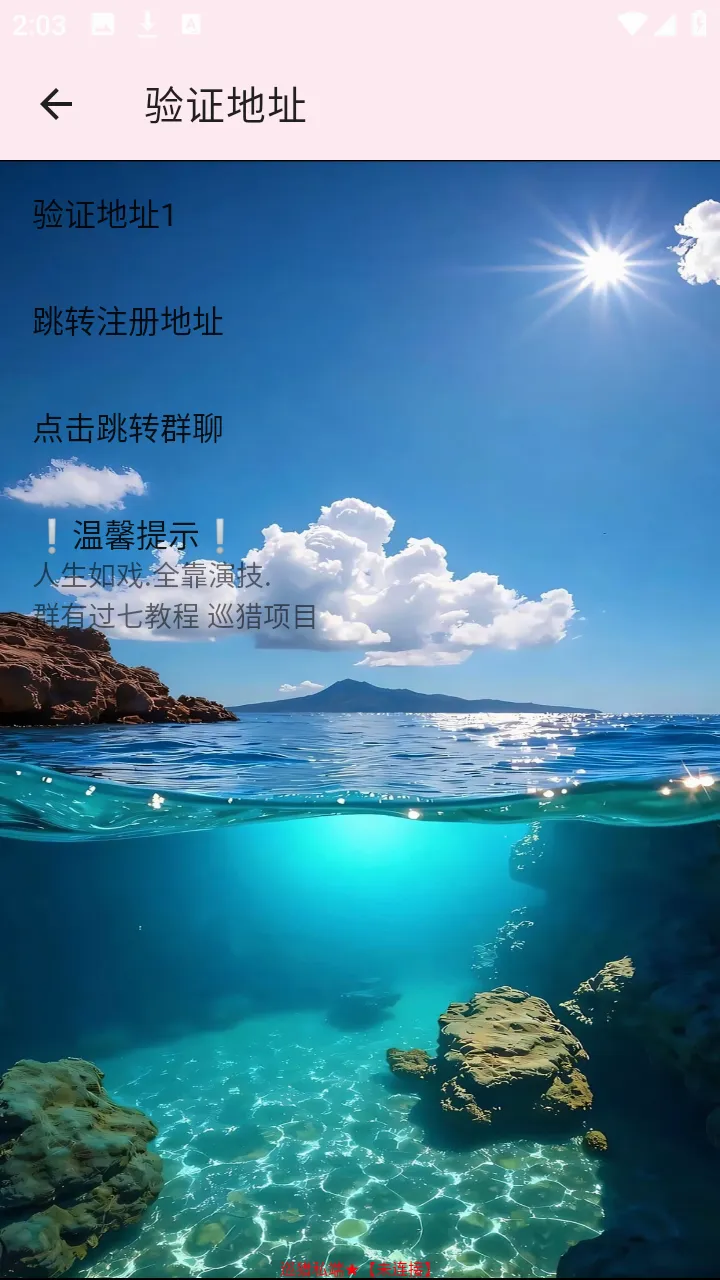 巡猎私端(手游网络优化工具) 巡猎私端(手游网络优化工具)
